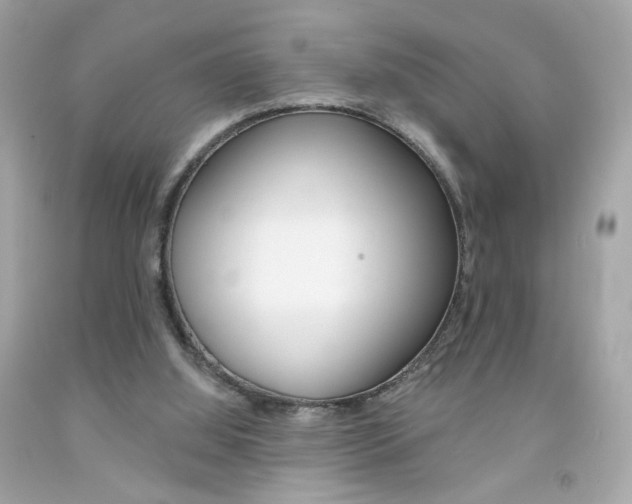 X0000092080060200709121114