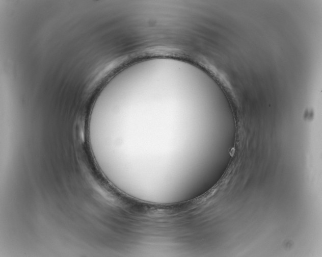 X0000092080062200709121114