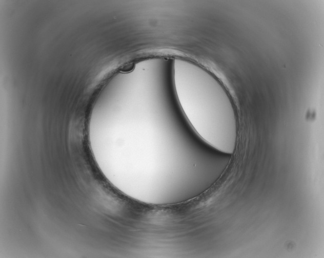 X0000092080063200709121114