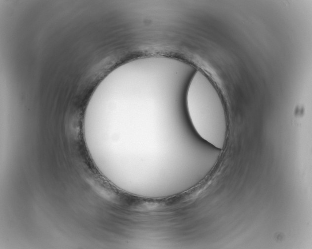 X0000092080065200709121114