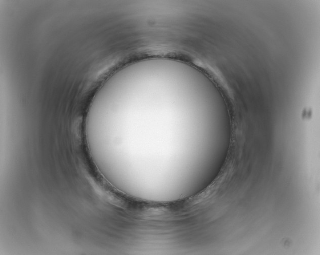 X0000092080066200709121114