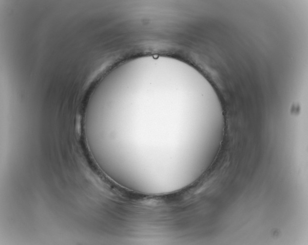 X0000092080067200709121114