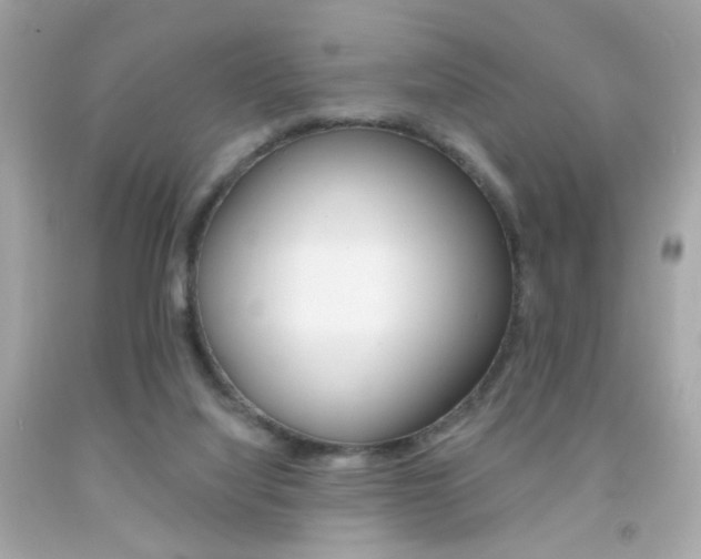 X0000092080068200709121114