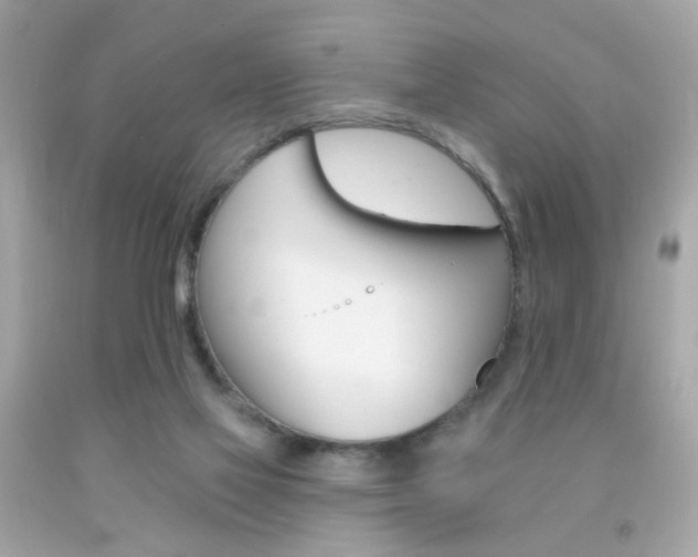 X0000092080069200709121114