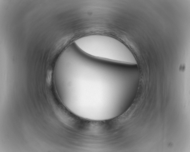 X0000092080070200709121114