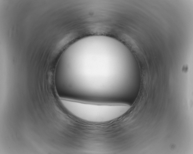 X0000092080071200709121114