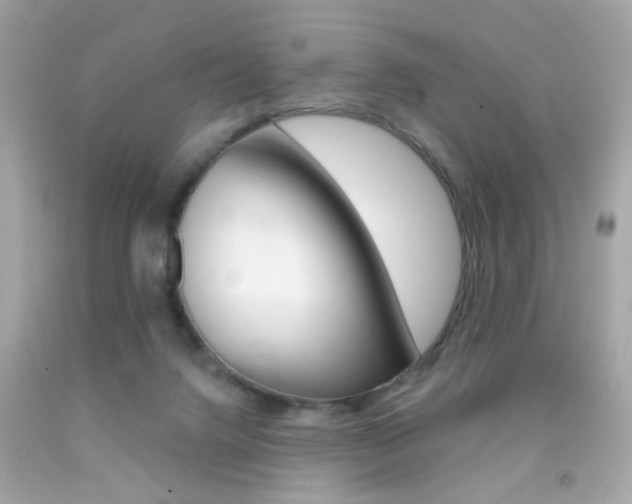 X0000092080072200709121114