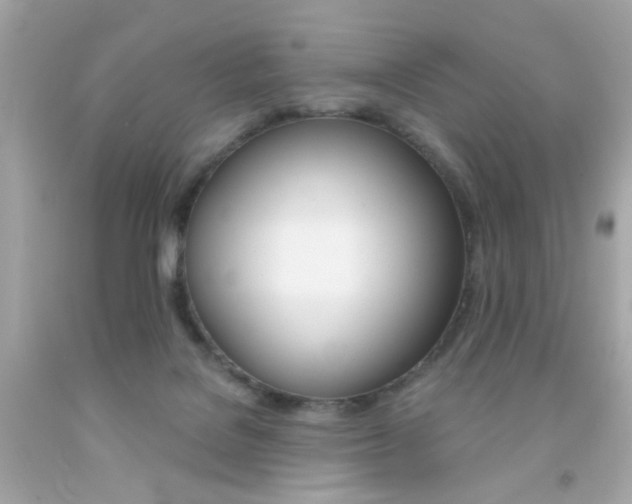 X0000092080076200709121114