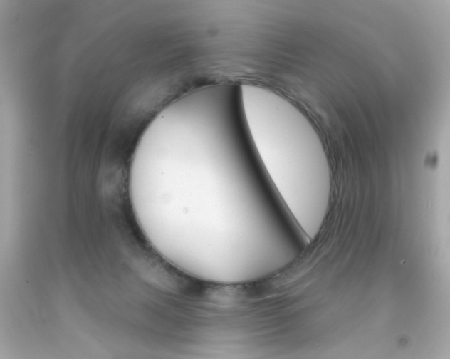 X0000092080079200709121114