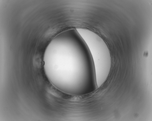 X0000092080080200709121114