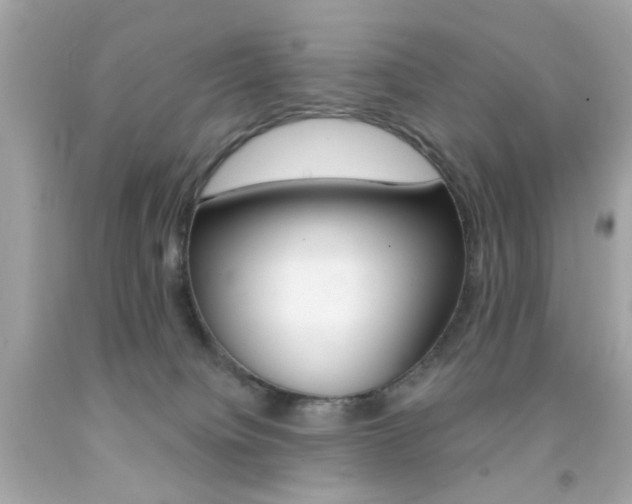 X0000092080084200709121114