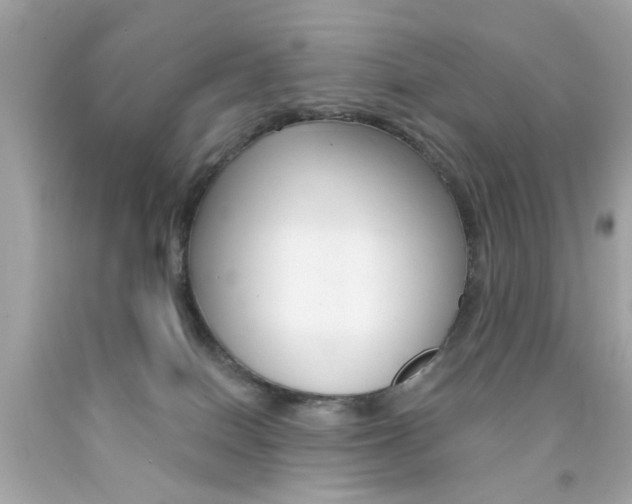 X0000092080086200709121114