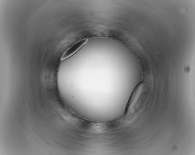 X0000092080088200709121114