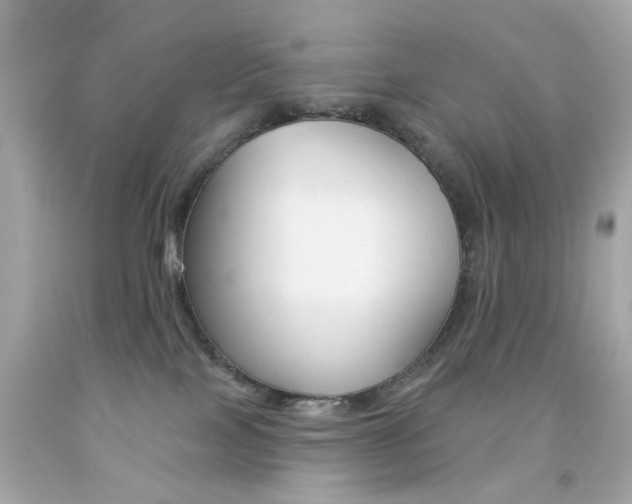 X0000092080089200709121114