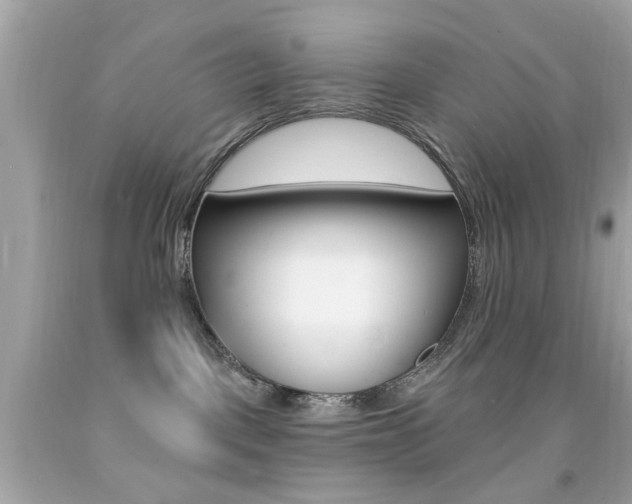 X0000092080093200709121114
