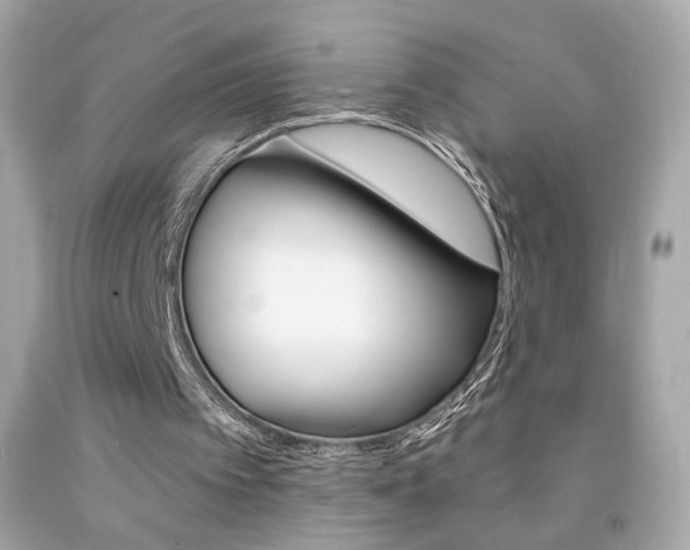 X0000092080097200709121114