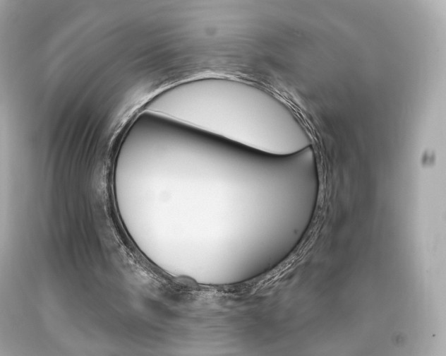 X0000092080098200709121114