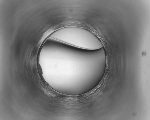 X0000092080099200709121114