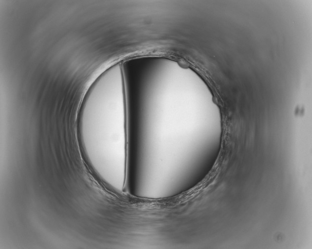 X0000092080100200709121114