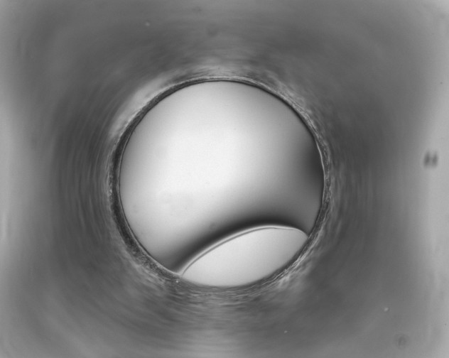 X0000092080103200709121114