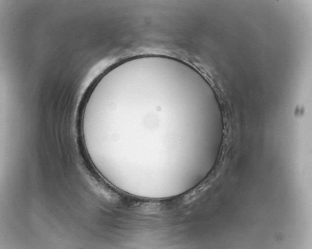 X0000092080104200709121113