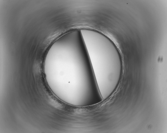 X0000092080105200709121113