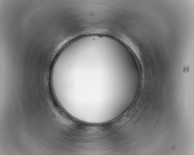 X0000092080107200709121113