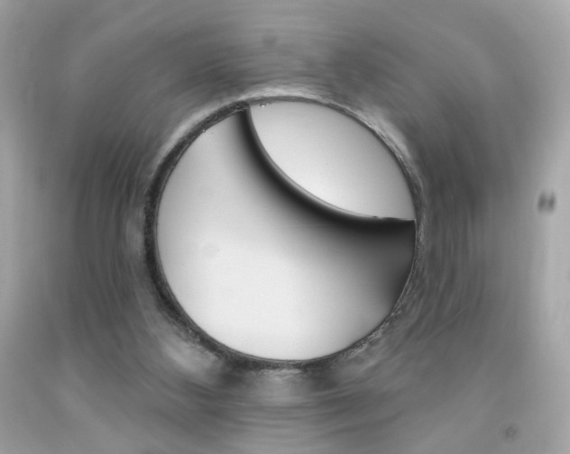 X0000092080108200709121113