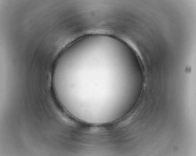 X0000092080109200709121113