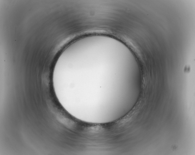 X0000092080112200709121113