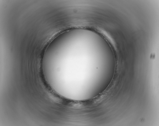 X0000092080113200709121113