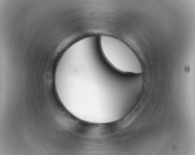 X0000092080116200709121113