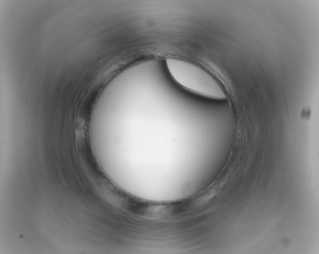 X0000092080117200709121113