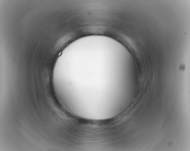 X0000092080120200709121113