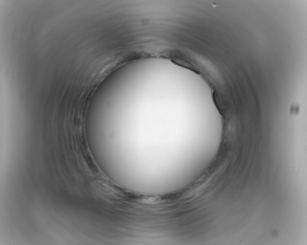 X0000092080121200709121113