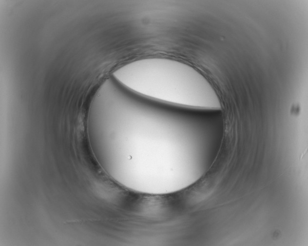 X0000092080127200709121113