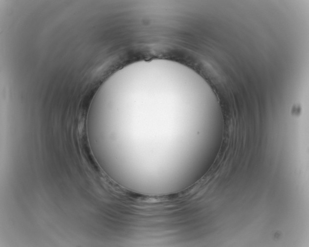 X0000092080129200709121113