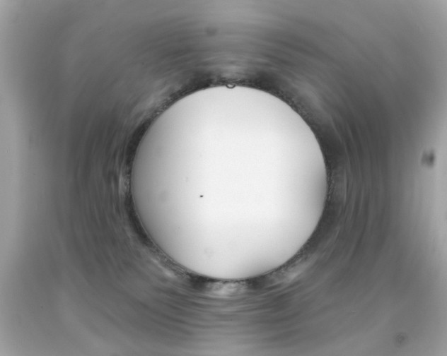 X0000092080135200709121113
