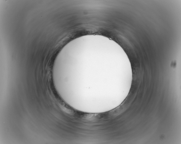 X0000092080136200709121113