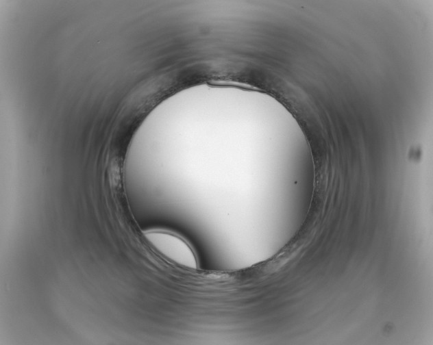 X0000092080137200709121113