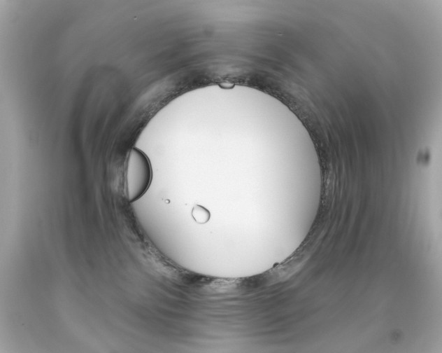 X0000092080138200709121113