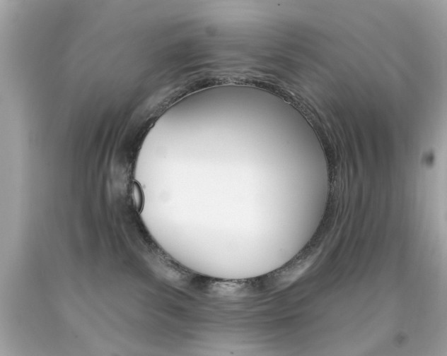 X0000092080139200709121113