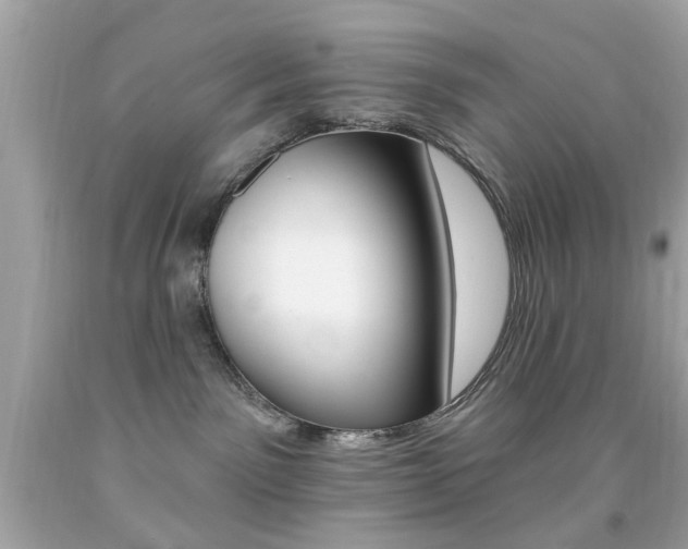 X0000092080141200709121113