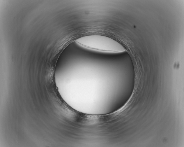 X0000092080144200709121113