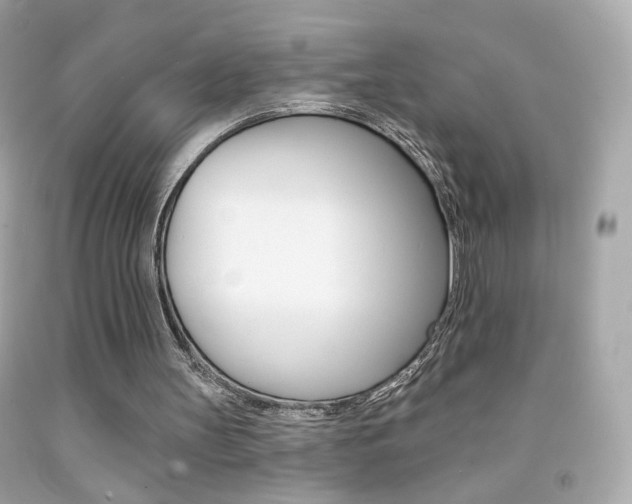 X0000092080147200709121112