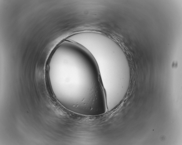 X0000092080148200709121112