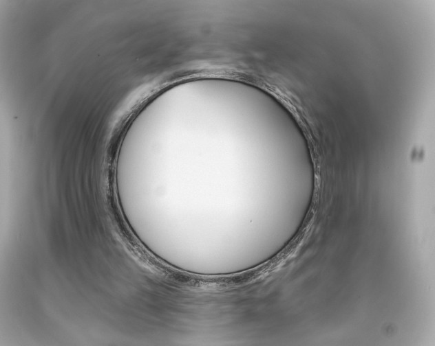 X0000092080149200709121112