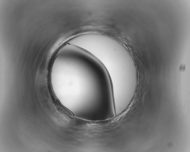 X0000092080150200709121112