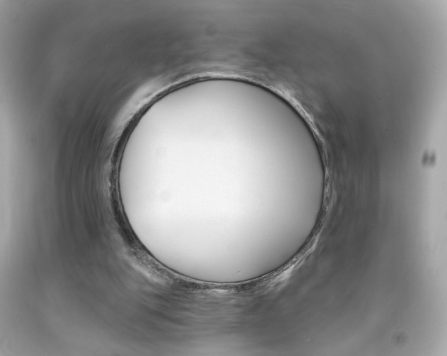 X0000092080151200709121112