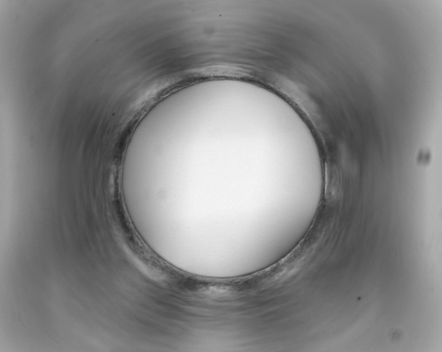 X0000092080157200709121113